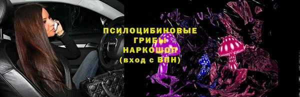 spice Бородино