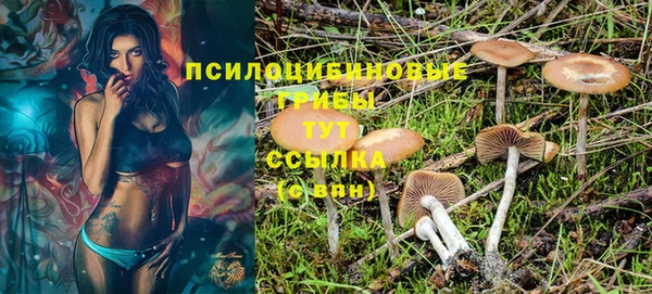 spice Бородино