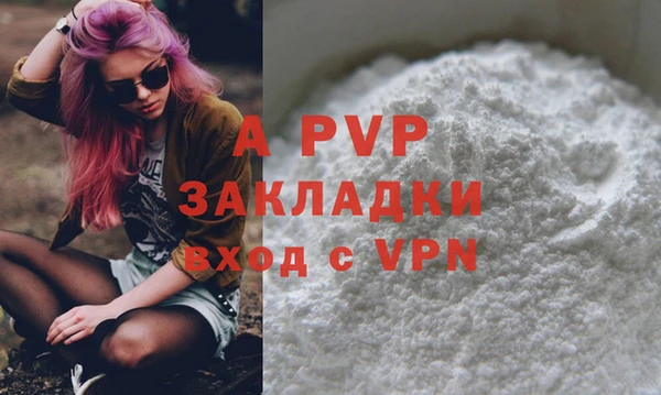 spice Бородино